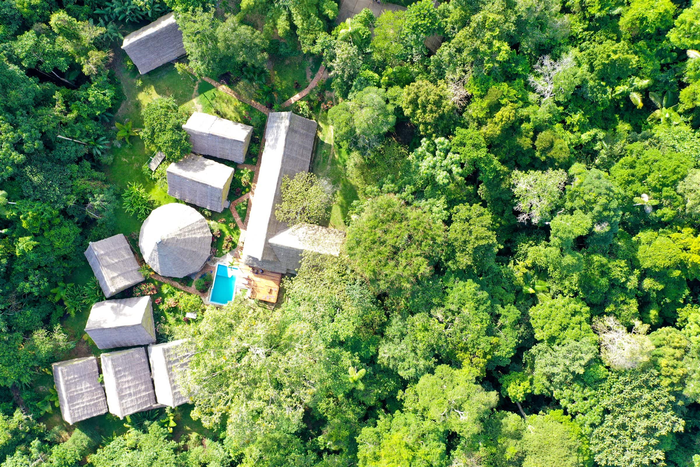 Thatched jungle lodge nestled in the canopy