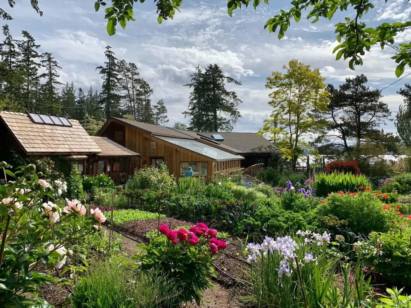 Cortes Island retreats