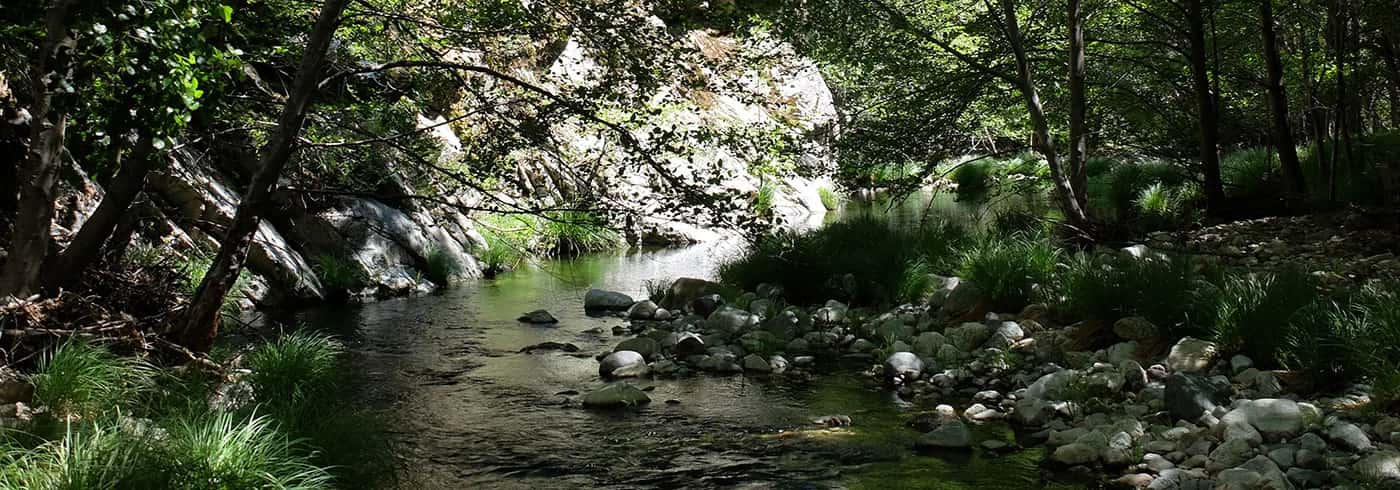 Carmel Valley retreats
