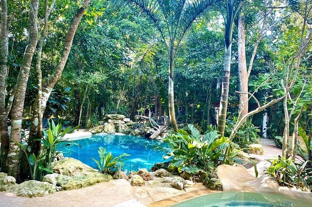 3 Day Ayahuasca, Kambo & Cacao Retreat in Cancun 2