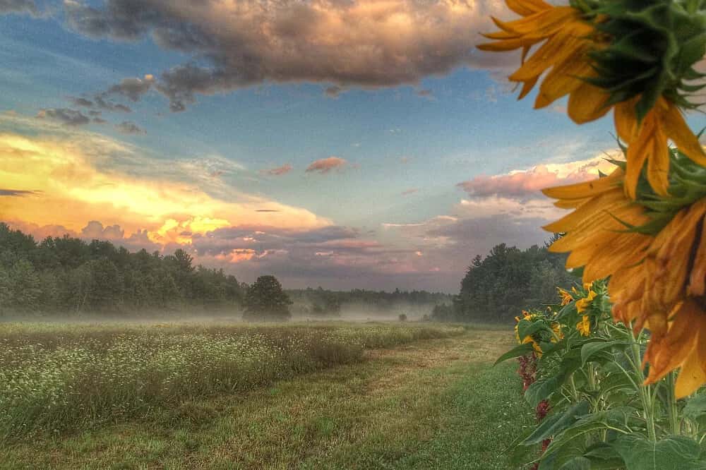 3 Day Meditation, Yoga & Living with Purpose Retreat 2