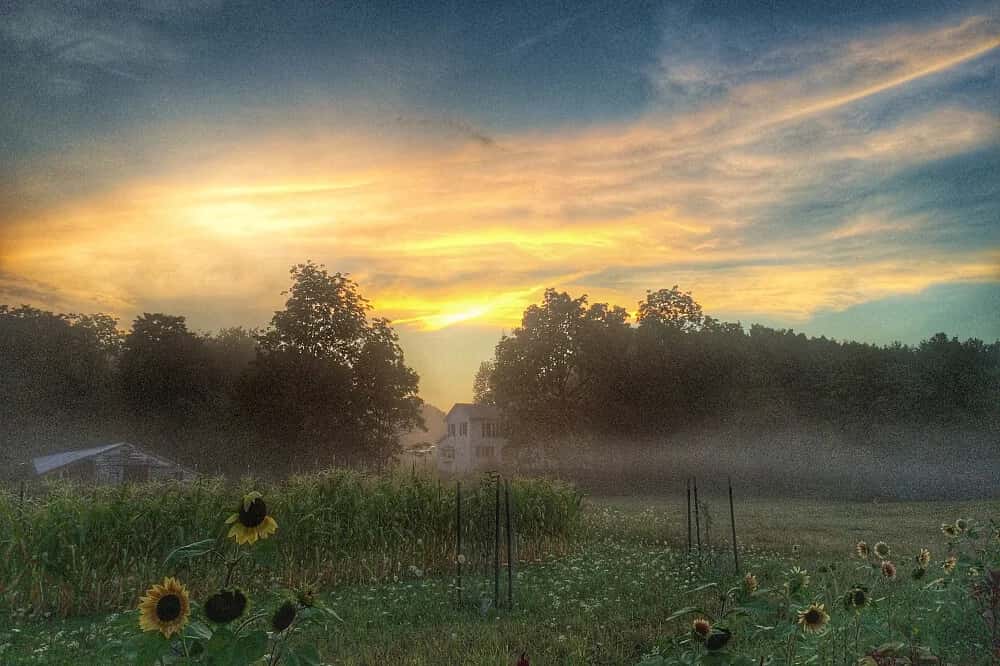 3 Day Meditation, Yoga & Living with Purpose Retreat 5