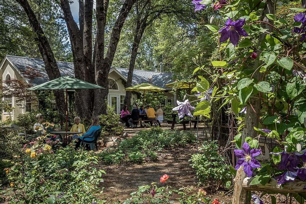 3 Day Secluded Personal Retreat in NorCal 5