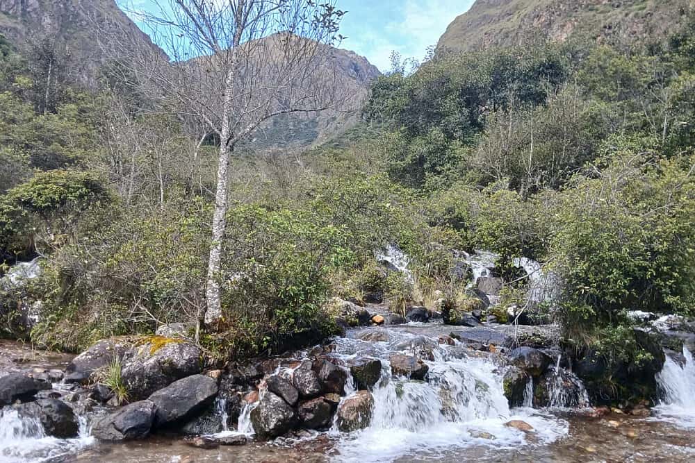 3 Day Spiritual Journey - Ayahuasca Retreat 3