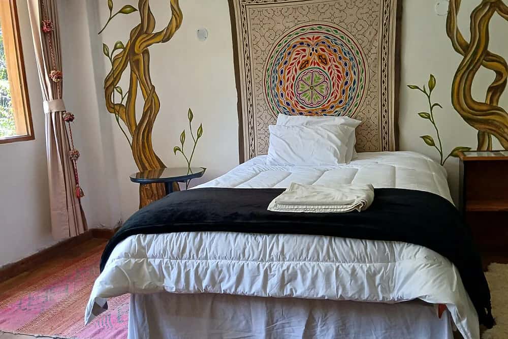 3 Day Spiritual Journey - Ayahuasca Retreat 4