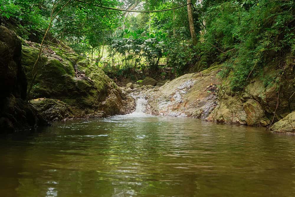 4 Day Ayahuasca Spiritual Healing in Sierra Nevada 4