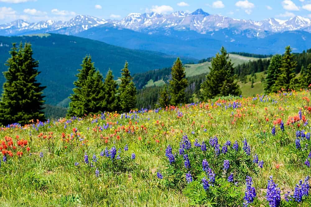 4 Day Higher States of Consciousness Retreat 2