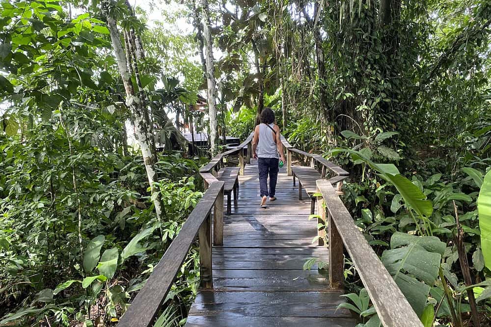 5 Day Energy Balancing Retreat with Optional Ayahuasca 2
