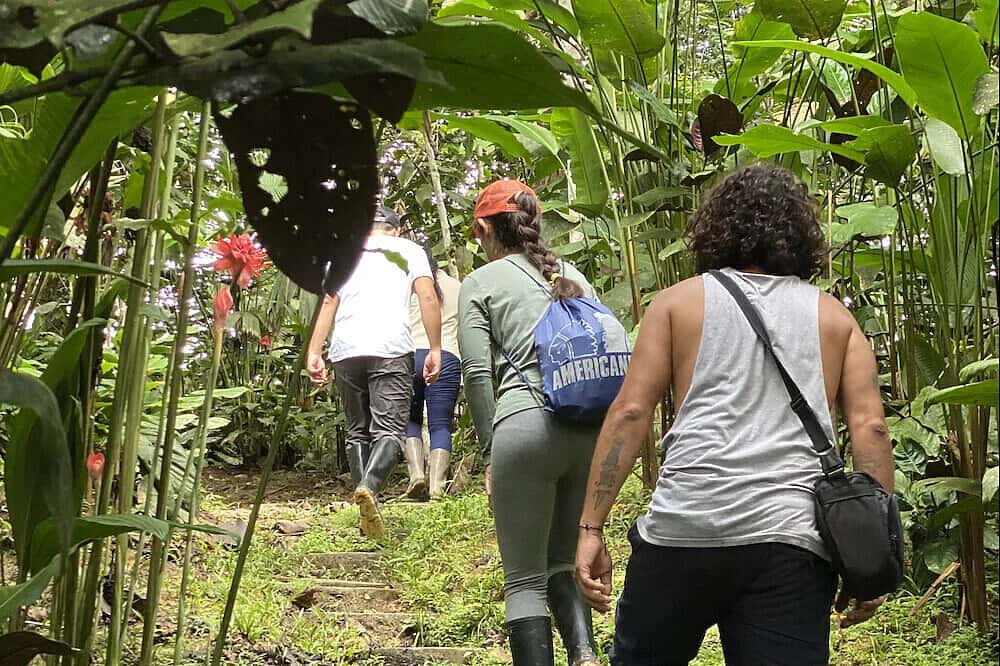 5 Day Energy Balancing Retreat with Optional Ayahuasca 3