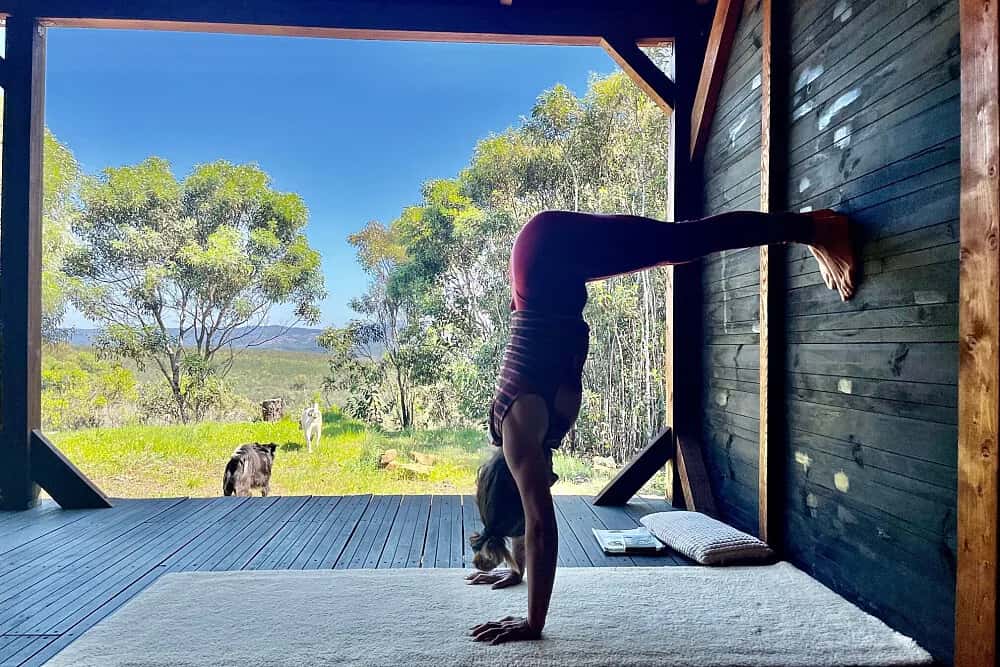 7 Day Ayahuasca, Yoga, Horse Therapy & Meditation 4
