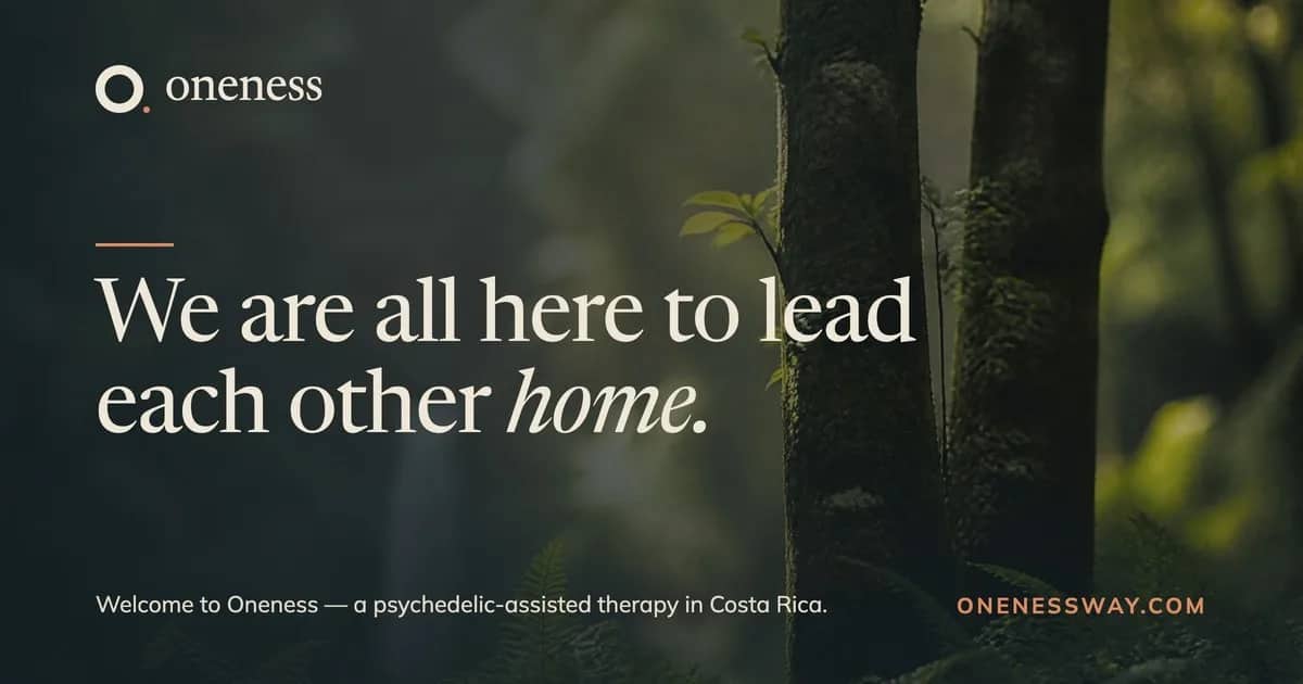 Oneness — Virtual Integration Sessions 1