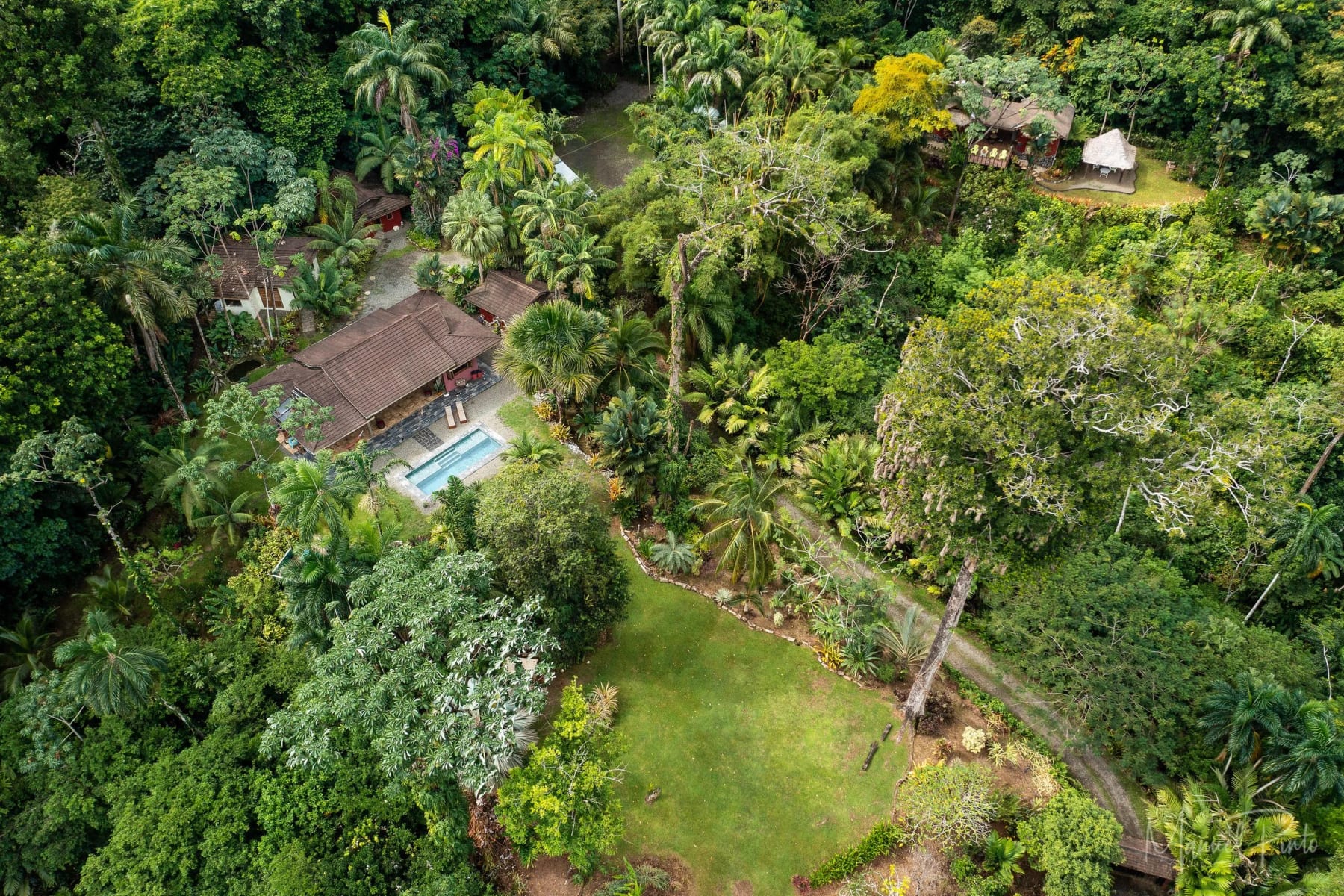 2 Day Ayahuasca Ceremony Homestay Retreat 5