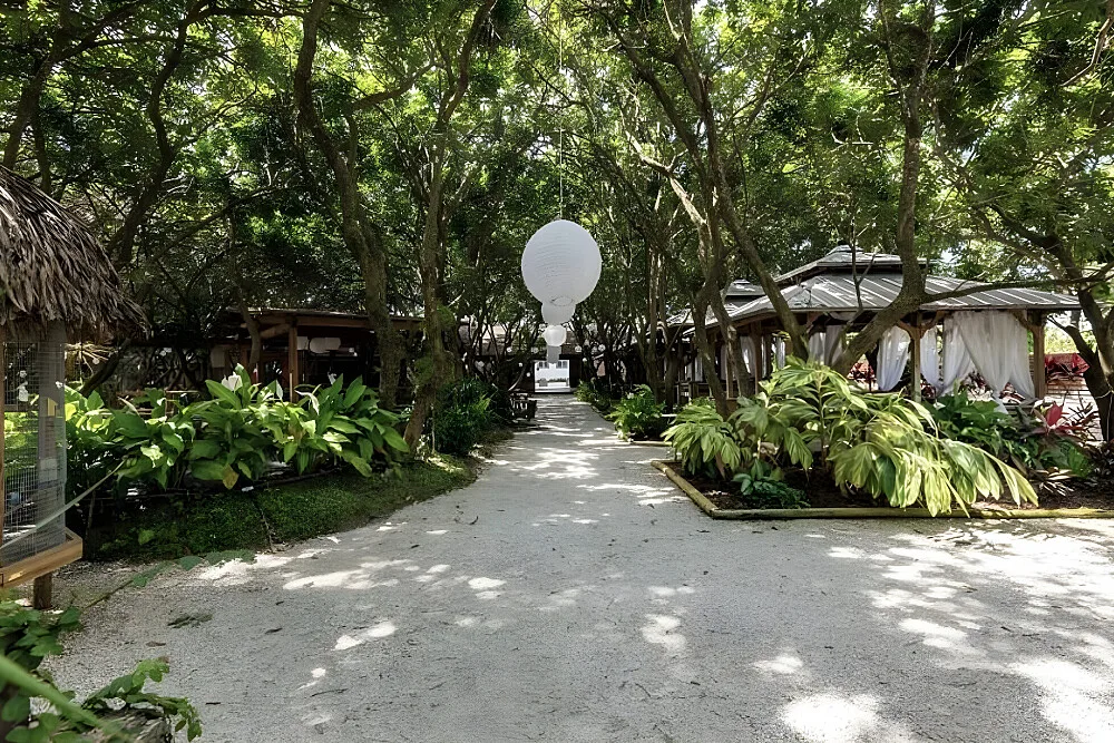 2 Day Sacred Mushrooms Group Experience 3