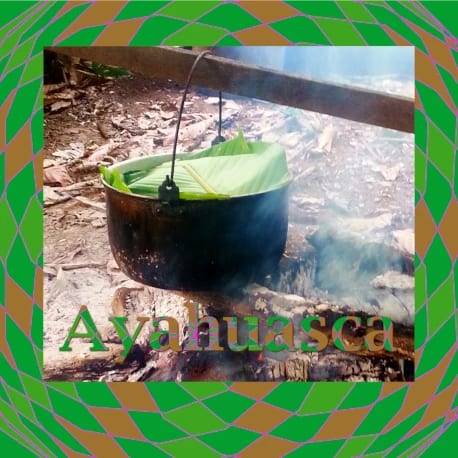 3 Day Ayahuasca Ceremony Weekend Near 3