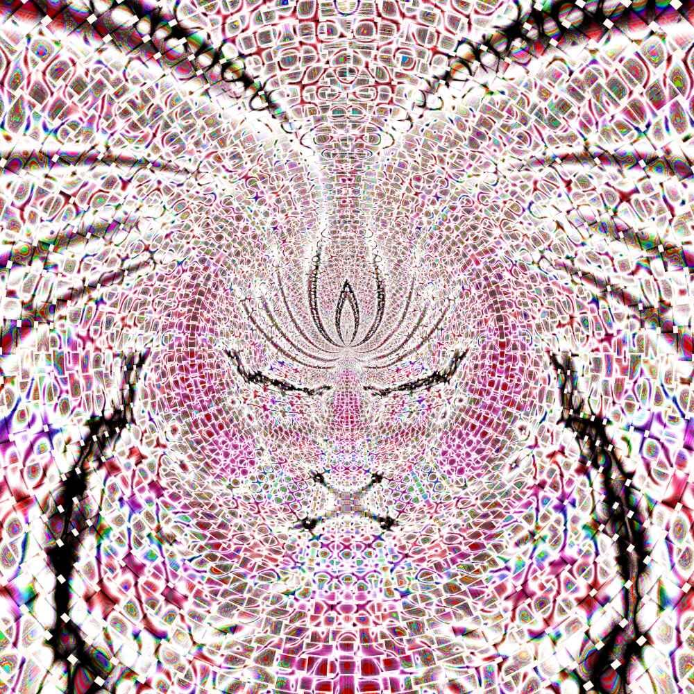 3 Day Ayahuasca Ceremony Weekend Near 8
