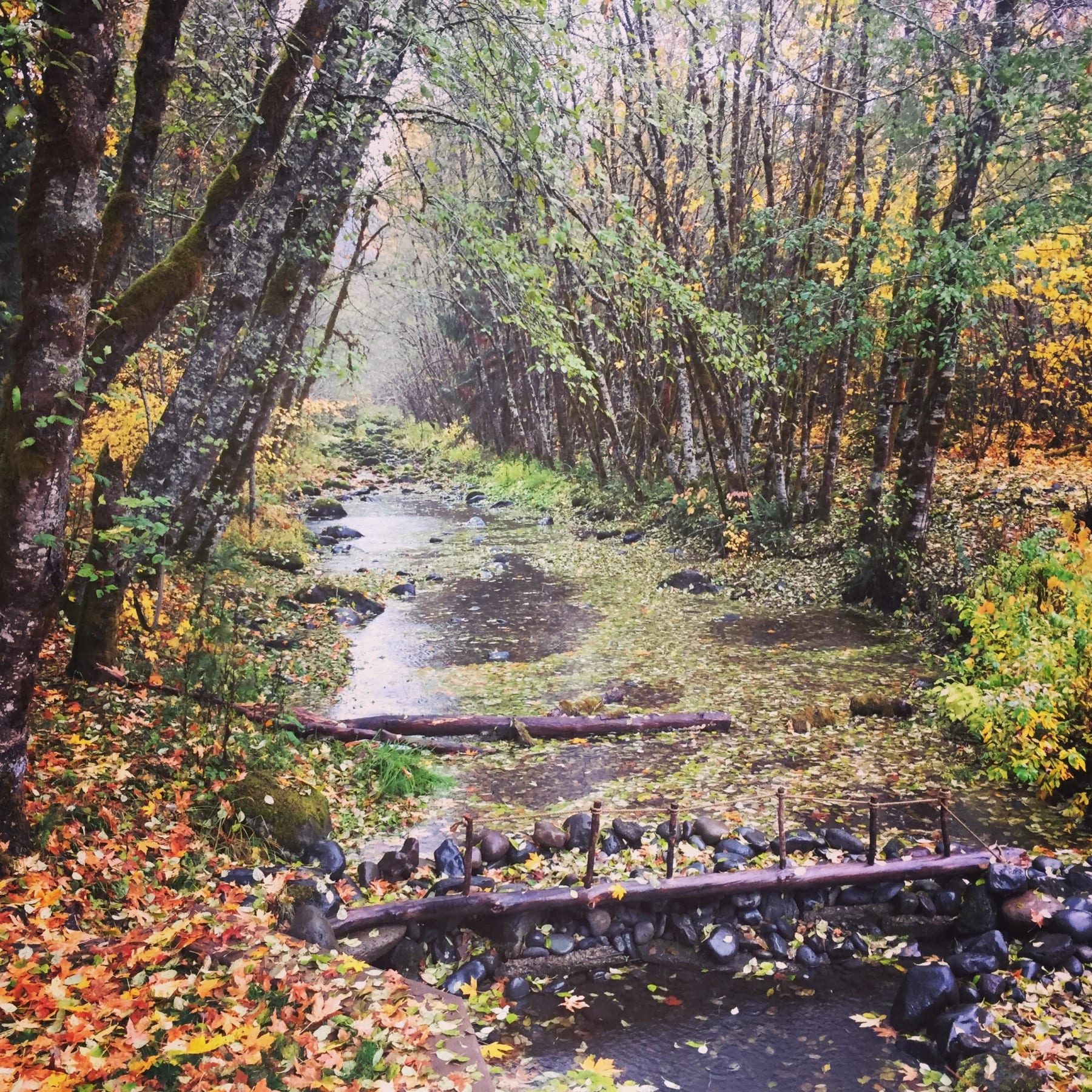 3 Day "Magic" Ceremony for Women: She Who Flows Retreat 5