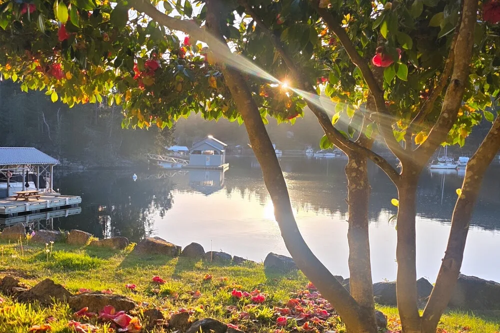 3 Day Sunshine Coast Women's Wellness Retreat, BC 5