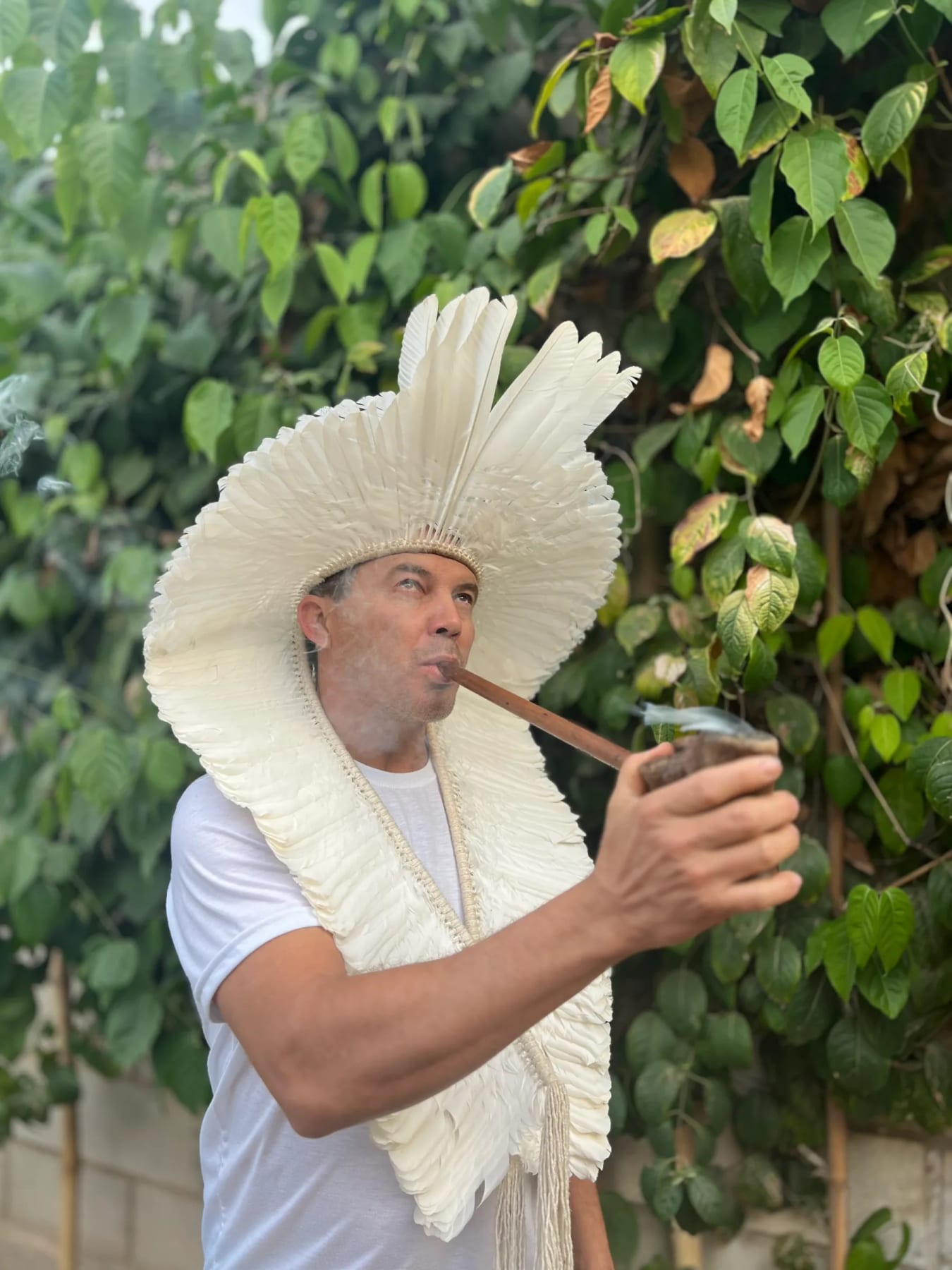 3 Day Transformative Plant Medicine Retreat 5