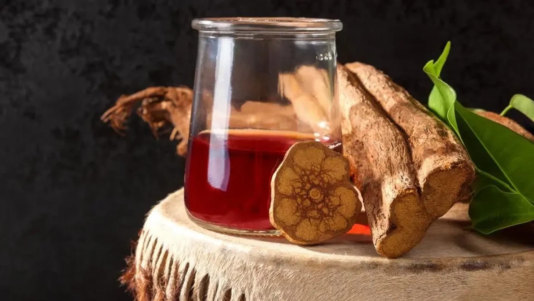 3 Day Transformative Plant Medicine Retreat 7