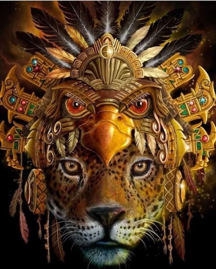 7 Day Ayahuasca Healing Retreat in Cancun 5