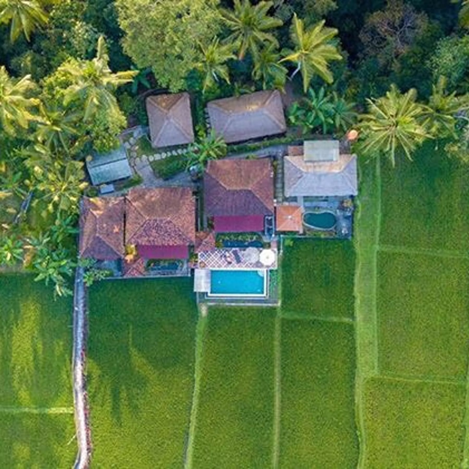 7 Day Solo Travelers Retreat: Yoga, Culture & Fun 6