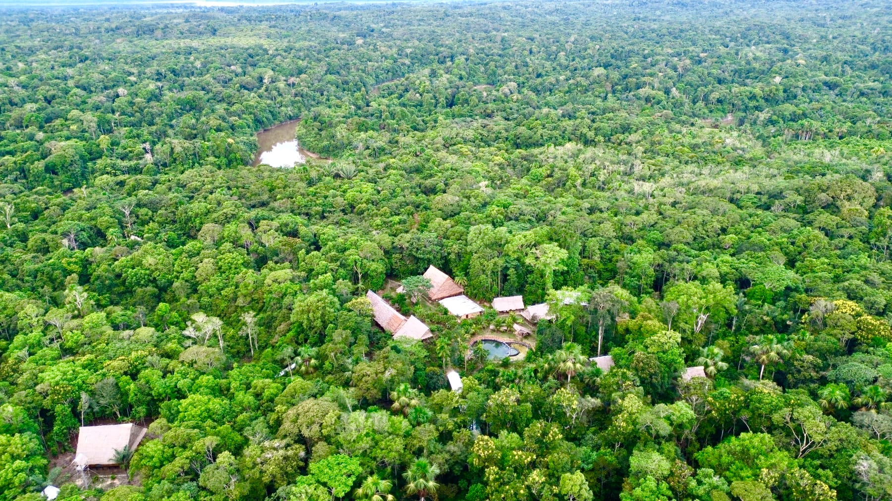 8 Day Ayahuasca & Plant Medicine Healing Retreat in Amazon 2