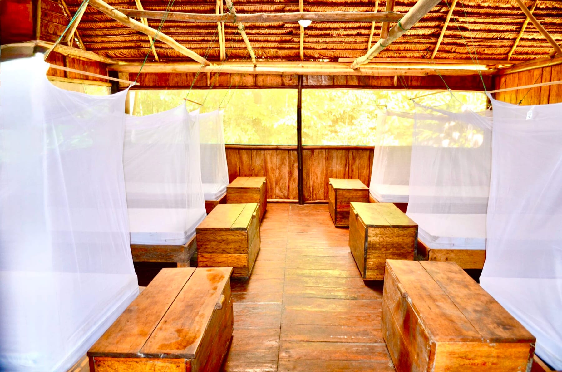 8 Day Ayahuasca & Plant Medicine Healing Retreat in Amazon 3