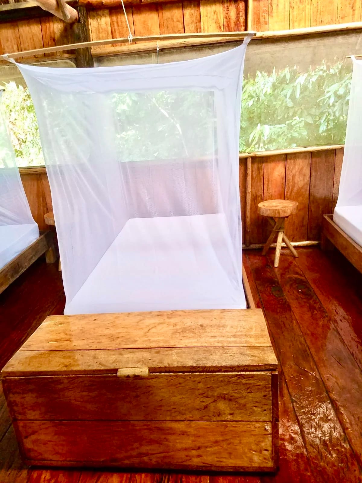 8 Day Ayahuasca & Plant Medicine Healing Retreat in Amazon 4
