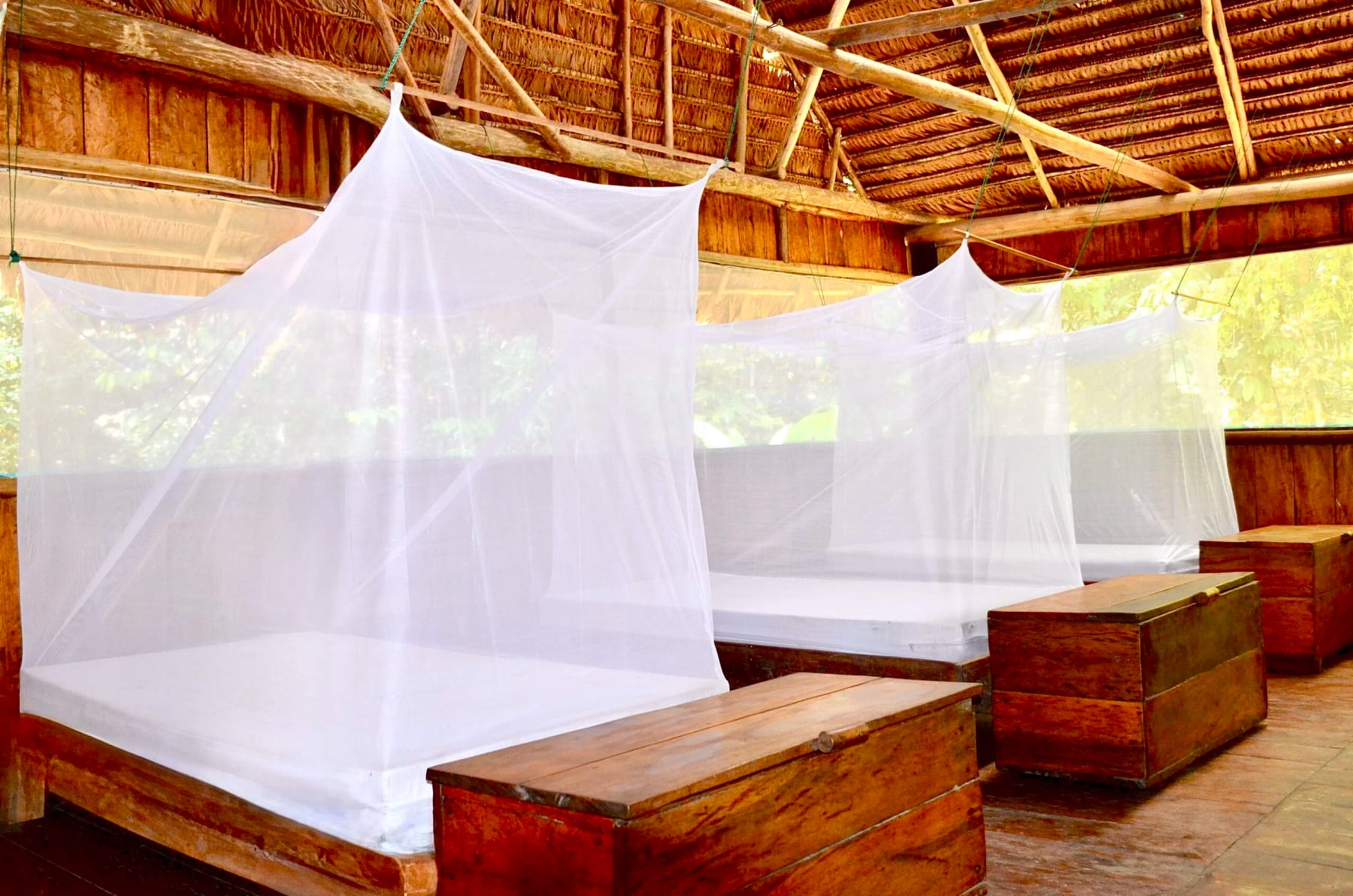 8 Day Ayahuasca & Plant Medicine Healing Retreat in Amazon 5