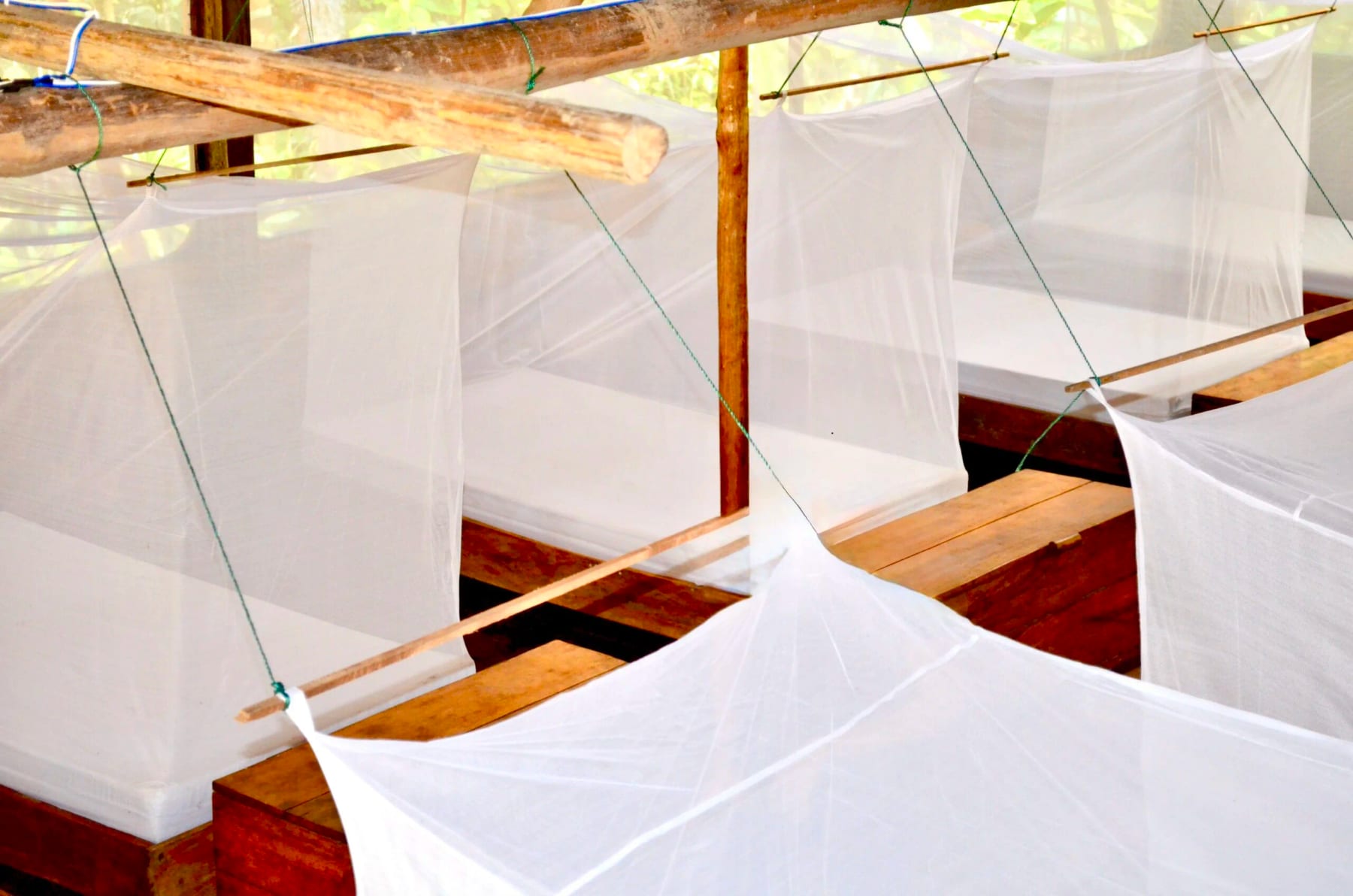 8 Day Ayahuasca & Plant Medicine Healing Retreat in Amazon 6