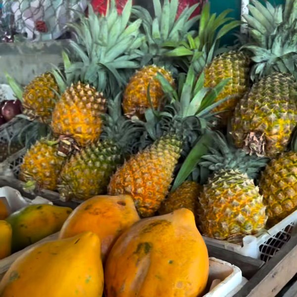 Belize Yoga Retreat 2027: Jungle, Reef & Island Wellness (Apr 30 - May 7), Caye Caulker, Belize: photo 5 of 6