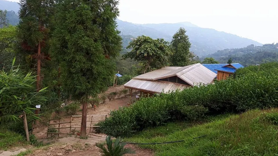 Dhamma Suriyo