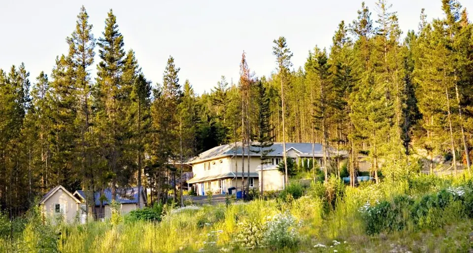 Dhamma Surabhi