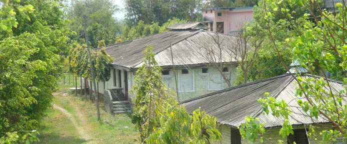 Dhamma Birāṭa