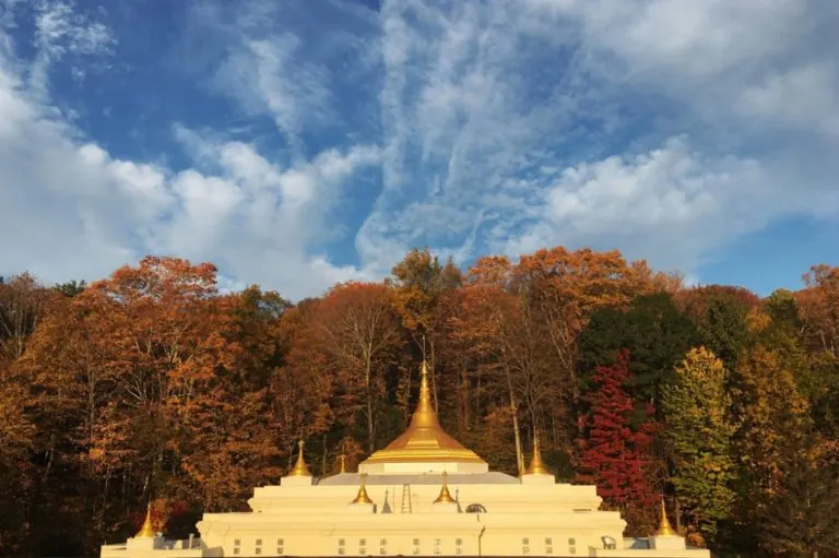 Dhamma Dharā