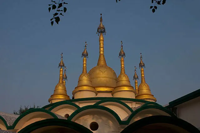 Dhamma Bodhi