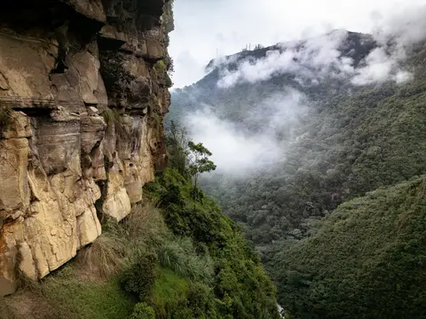Cloud Forest Sanctuary