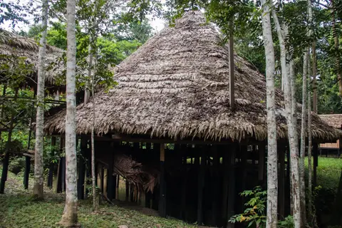 Pacific Lineage House
