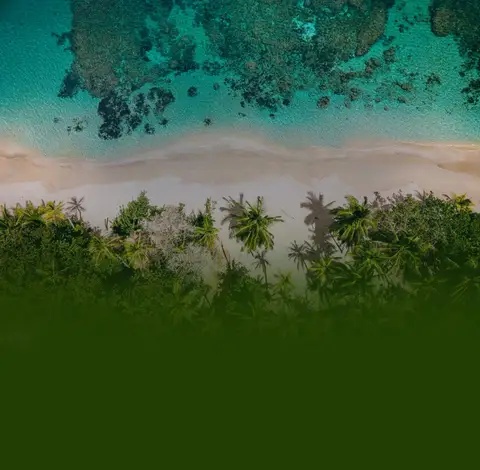 2 Day Ayahuasca Ceremony Homestay Retreat