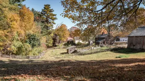 3 Day Private Trauma & Betrayal Intensive Retreat