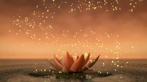 4 Day Reset: Silence, Meditation, Breathwork & Culinary Exp