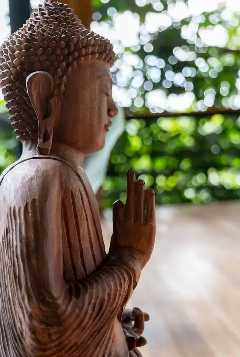 5 Day Silent Mindfulness Meditation & Yoga Retreat