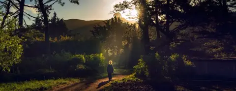 Green Gulch Farm Zen Center