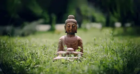 Insight Meditation Society
