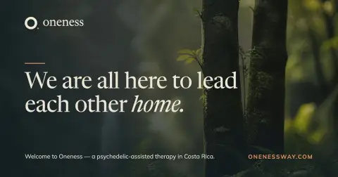 Oneness — Virtual Integration Sessions